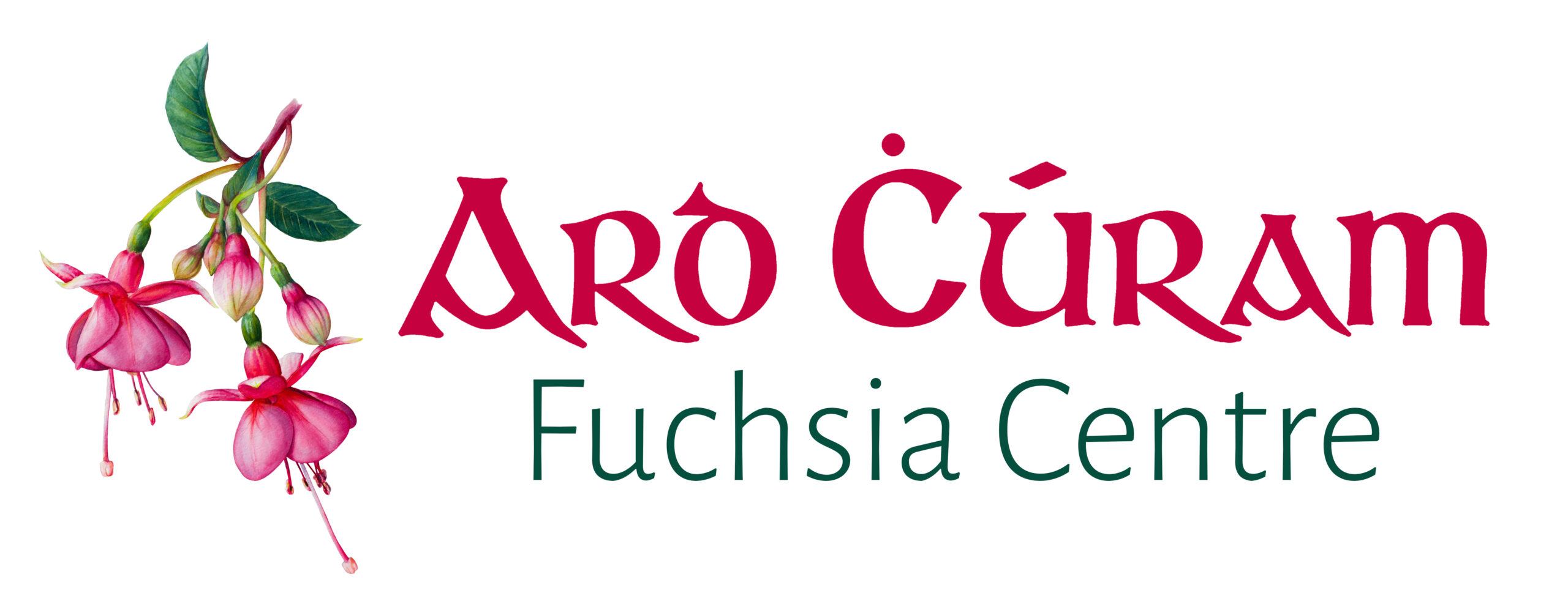 fuchsia Logo small